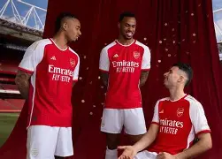 阿森纳再度夺冠，昔日辉煌再现！(阿森纳再度夺冠,昔日辉煌再现什么意思)